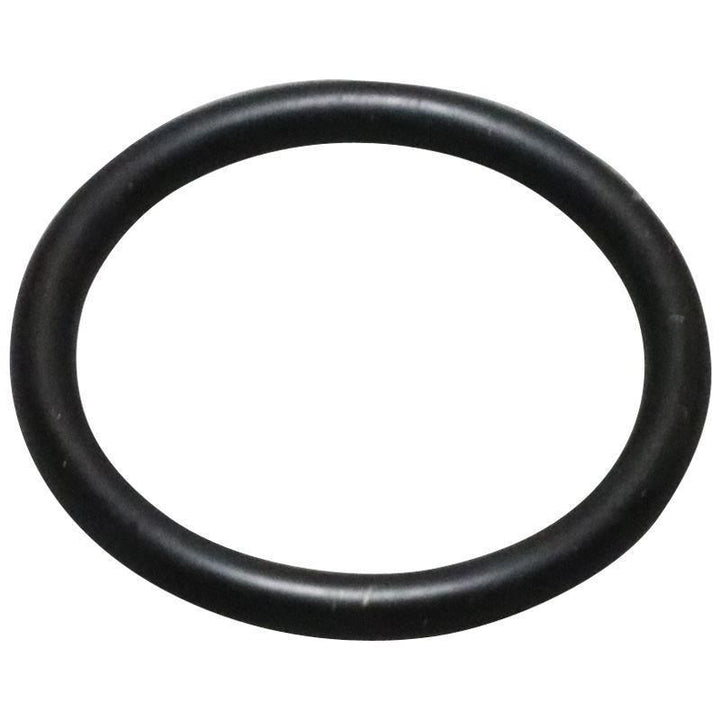 Original Ford O-Ring 1699200