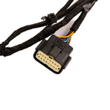 Ford Focus 2019 Kabel für Nebelscheinwerfer, Motor, Getriebe und Parksensoren 2407632
