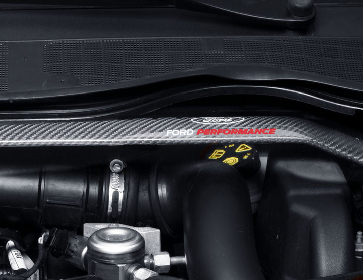 Original Ford Fiesta ab 2017 Performance Karbon Domstrebensatz