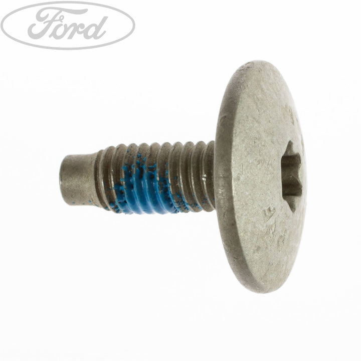 Kraftstoffdampfsystem Schraube