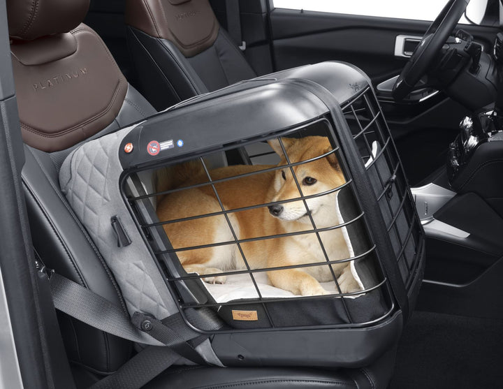 4pets®* Caree Transportbox für Katzen&Hunde, Beifahrer- oder Rücksitz, Cool Grey