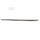 Original Ford Focus  Karosserieschutzleiste Tür 1090842