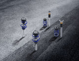 Original Ford Focus 2014-2019 Gewindefahrwerkssatz Edelstahl, Federn in Blau
