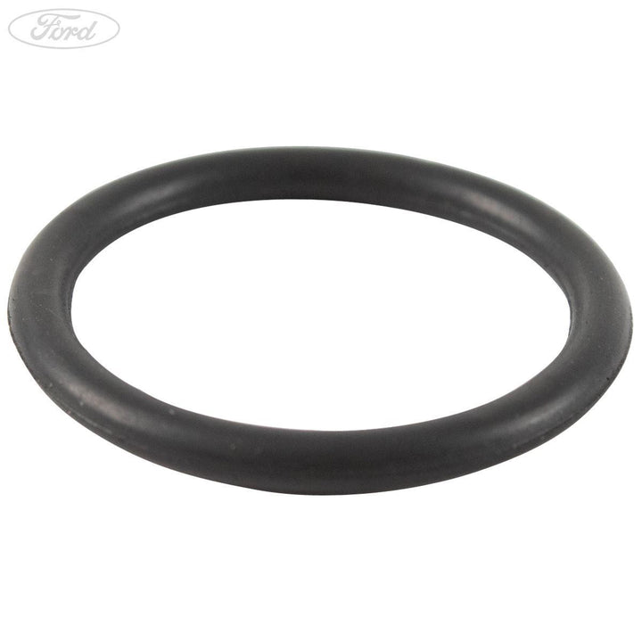 1.25 Duratec Sigma Ölpumpe Einlass Gummi Ring Dichtung
