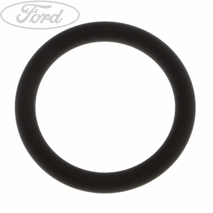 Original Ford Einspritzdüsen Dichtung 1201247