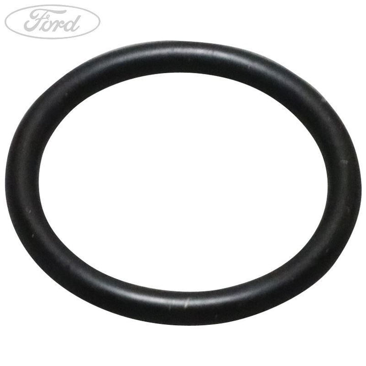 Original Ford O-Ring 1699200