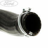 Original Ford Ladeluftkühlerschlauch 1490848