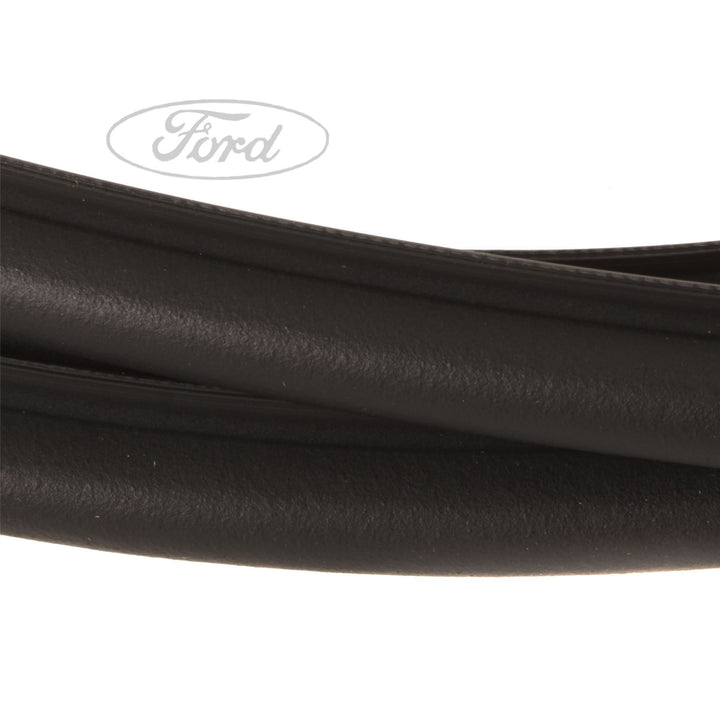 Original Ford Kantenschutz mit Dichtung 1869692