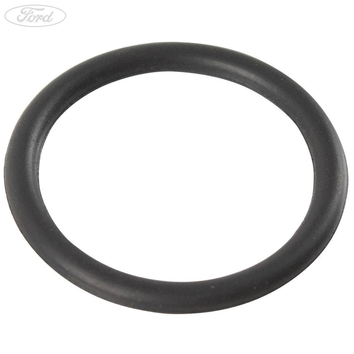 1.25 Duratec Sigma Ölpumpe Einlass Gummi Ring Dichtung