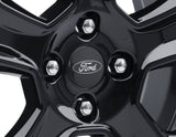 Original Ford Ecosport ab 2017 Schutz-Paket