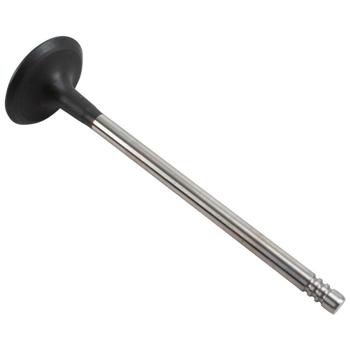 Motor Einlassventil