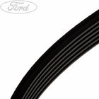 Fiesta Mk7 Mk8 1.2 1.4 1.6 16v Keilriemen Kit V gerippt