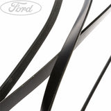 Original Ford Motorcraft Transit Antriebsriemen 2.4L Duratorq 1129181