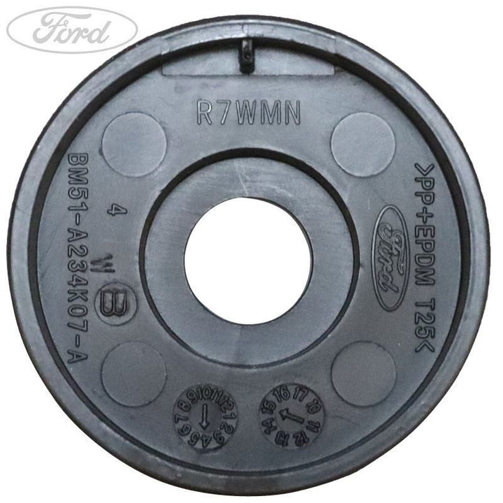 Original Ford Focus 2011-2020 Fensterheberblende/Rosette 1719214