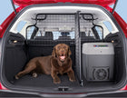 Ford Focus Turnier 2011-2019 Gepäckraum-Schutzgitter halbe Höhe 1723909