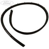 Original Ford Transit/Tourneo Connect Dichtungsgummi rechts 1843711