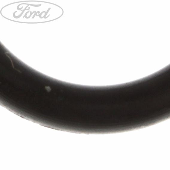 Original Ford Kurbelgehäuse Ölabscheider Ventil O-Ring 1212756