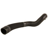 Original Ford Schlauch 2036384
