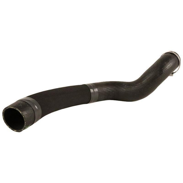 Original Ford Schlauch 2036384