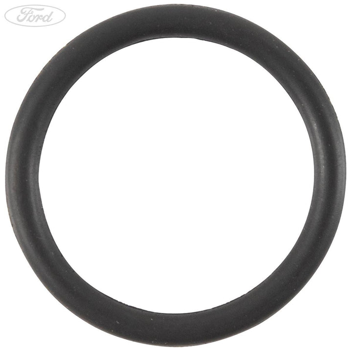 1.25 Duratec Sigma Ölpumpe Einlass Gummi Ring Dichtung