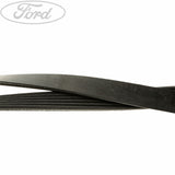 Original Ford S-MAX/Mondeo/Galaxy Antriebsriemen 2.2L Duratorq 1427353