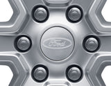 Original Ford Ranger Nabenkappe silber