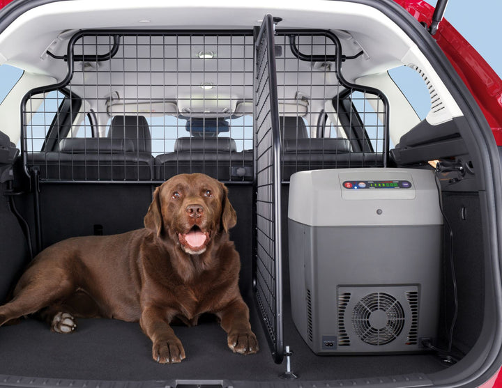 Original Ford Focus 2011-2019 Gepäckraum-Längsteiler für Schutzgitter