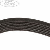 Original Ford Antriebsriemen 3.2L Duratorq 1720653