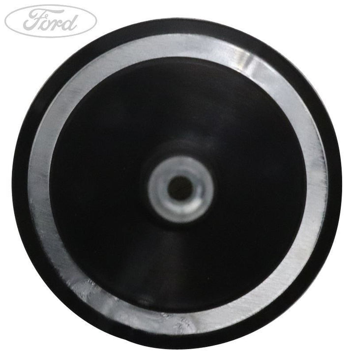 Original Ford Ersatzradmontageplattenhalterung 2031749