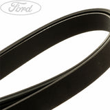 Original Ford Focus Focus C-Max MPV Antriebskeilriemen 1316336