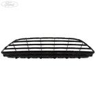 Fiesta Mk7 Vornestoßstange Kühlergrill & Abdeckung