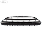 Fiesta Mk7 Vornestoßstange Kühlergrill & Abdeckung