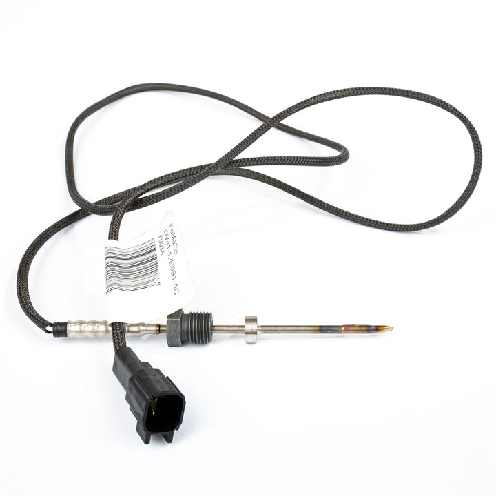 Abgastemperatursensor