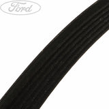Original Ford Focus Antriebsriemen 2.0L Zetec 4404004