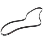 Motorcraft Antriebskeilriemen KEILRIPPENRIEMEN