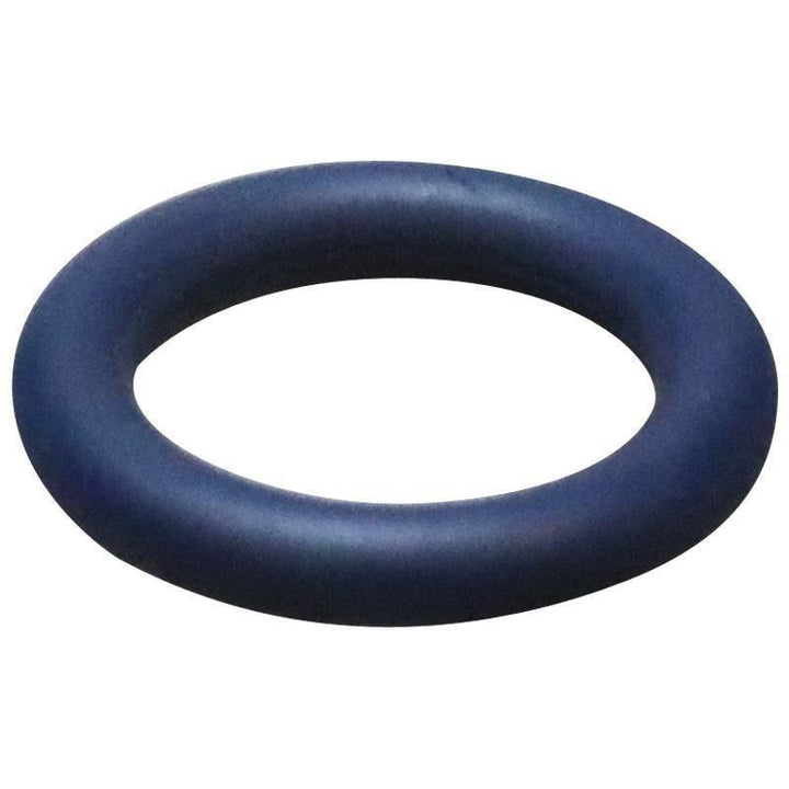 Original Ford O-Ring 4189248