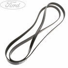 Original Ford Motorcraft Transit Antriebsriemen 2.4L Duratorq 1129181