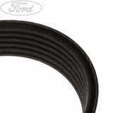 Original Ford Focus Motorcraft Antriebskeilriemen 1072316