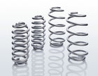 Original Ford Eibach®* Pro-Lift Kit Niveauausgleichszugfedern 2875235