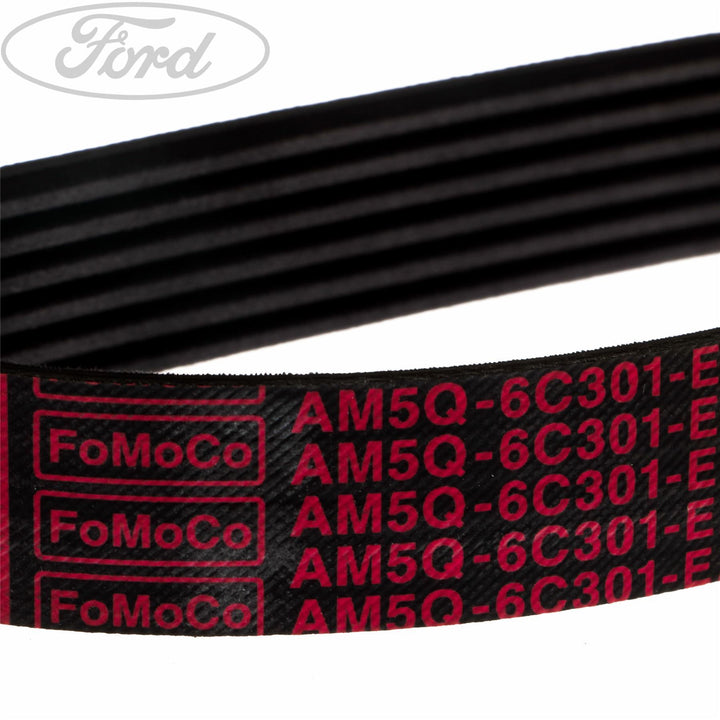 Original Ford Mondeo/Focus/C-MAX Antriebsriemen 1.6L Duratec 1692105