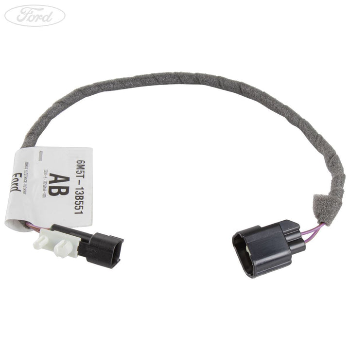 Focus MK2 Heckklappen-Überbrückungskabel