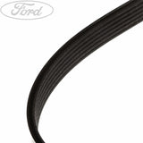Motorcraft Antriebskeilriemen KEILRIPPENRIEMEN
