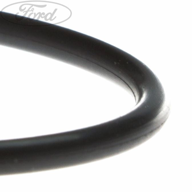 Original Ford Motordichtring - Einspritzpumpe 1226258