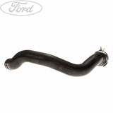 Original Ford Kurbelgehäuse Ölabscheider Schlauch 1.8L Duratorq 1479081
