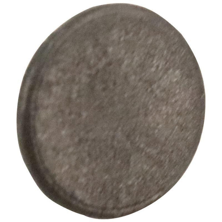 Original Ford Türstoßfänger 1848852