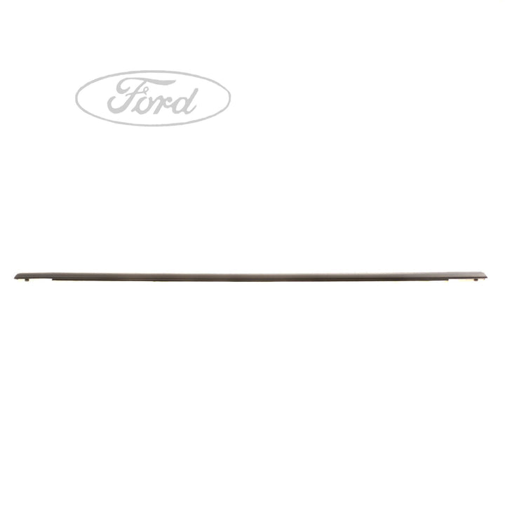 Original Ford Fiesta  Türgurtdichtgummi hinten 1893062