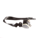 Original Ford Focus Sicheeitsgurt  Front 1633062