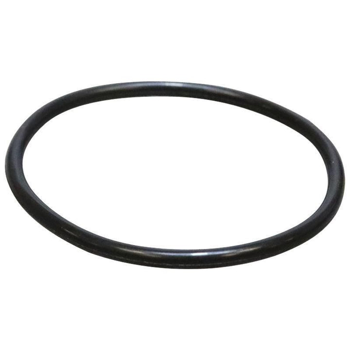 Original Ford O-Ring 1493250