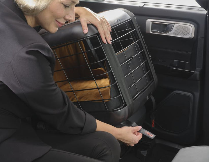 4pets®* Caree ISOFIX-Adapter für Caree Transportboxen für Tiere bis 8 kg