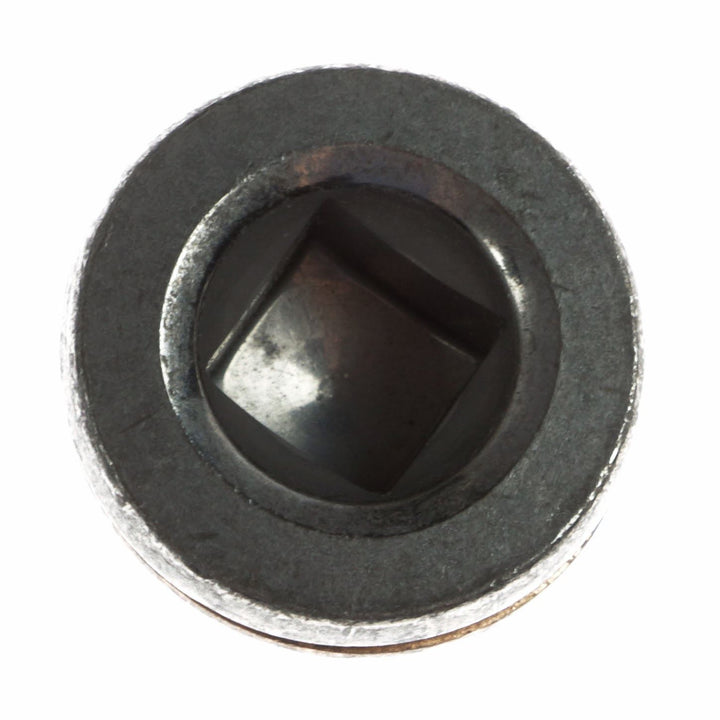Original Ford Abdeckstopfen M6 1487863